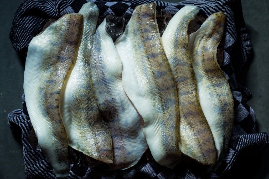 Filleted fish