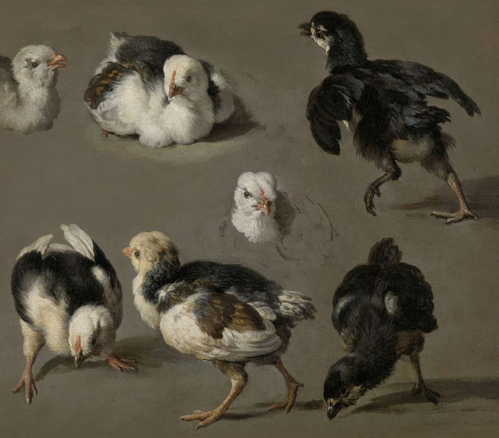 Zeven kuikens