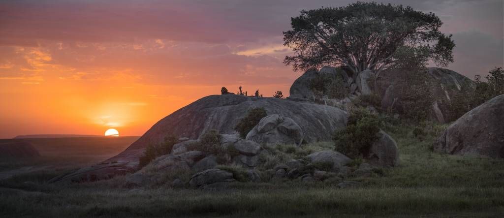 Sunset over the savannah