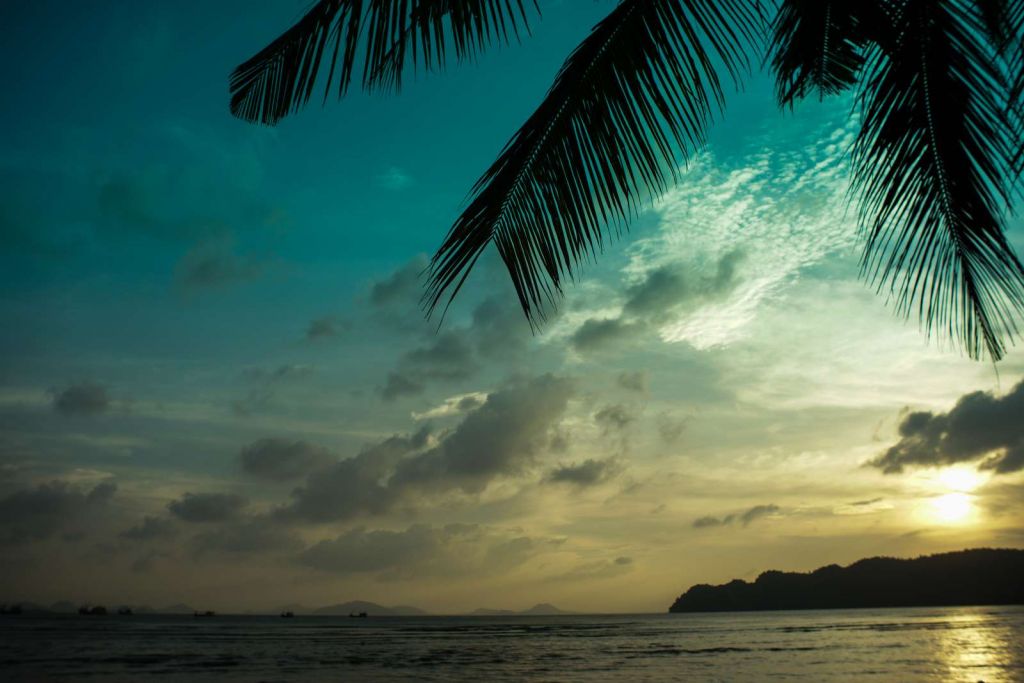 Zonsondergang met palmboom bladeren