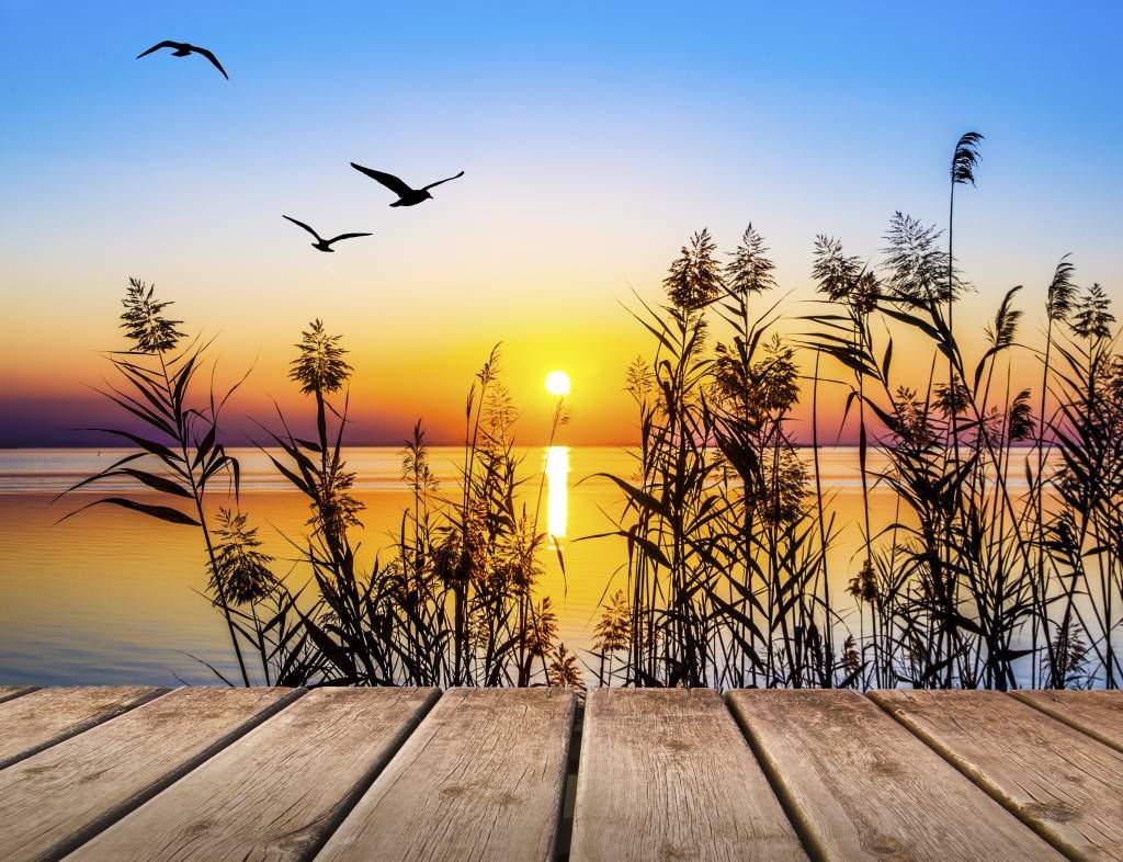 Sunset on the lake