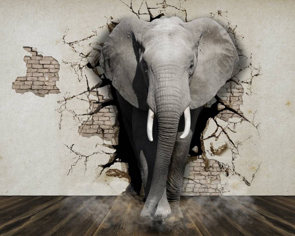 Animals - 3D Elephant from the wall - Teenage room