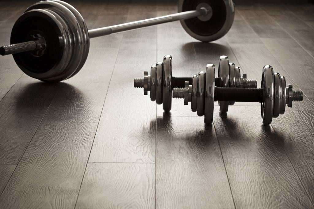 Fitness - Dumbells and weights - Hobby room