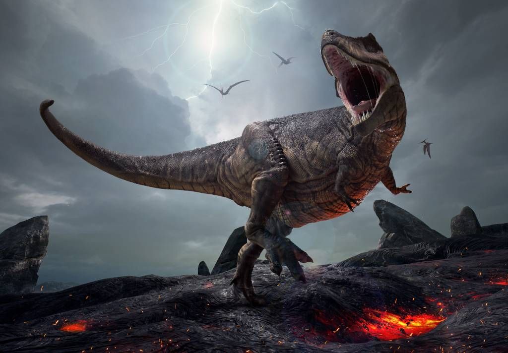 Dinosaurs - Tyrannosaurus Rex - Children's room Dinosaurs - Tyrannosaurus Rex - Children's room