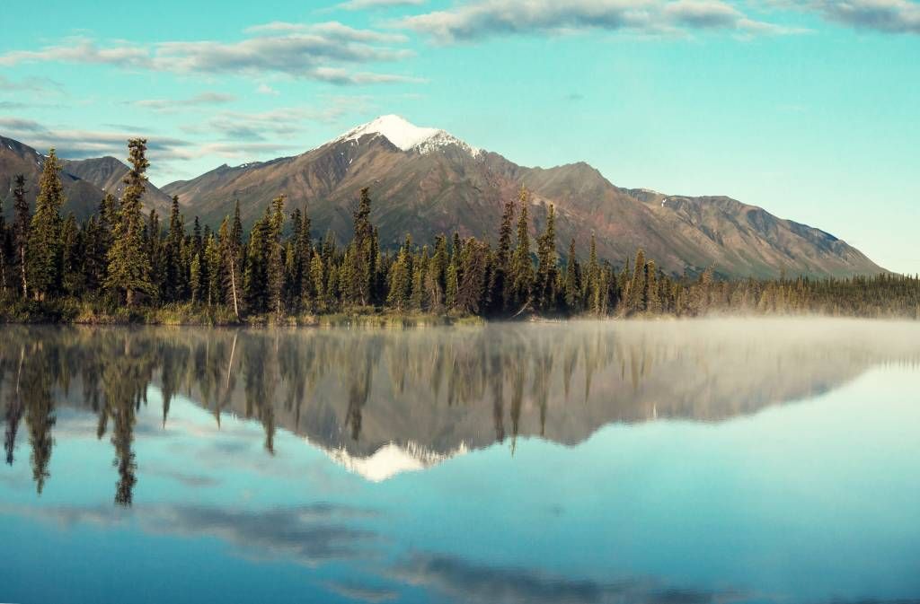 Mountains - Landscape in Alaska - Living room