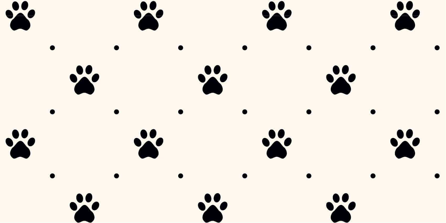 Dog feet