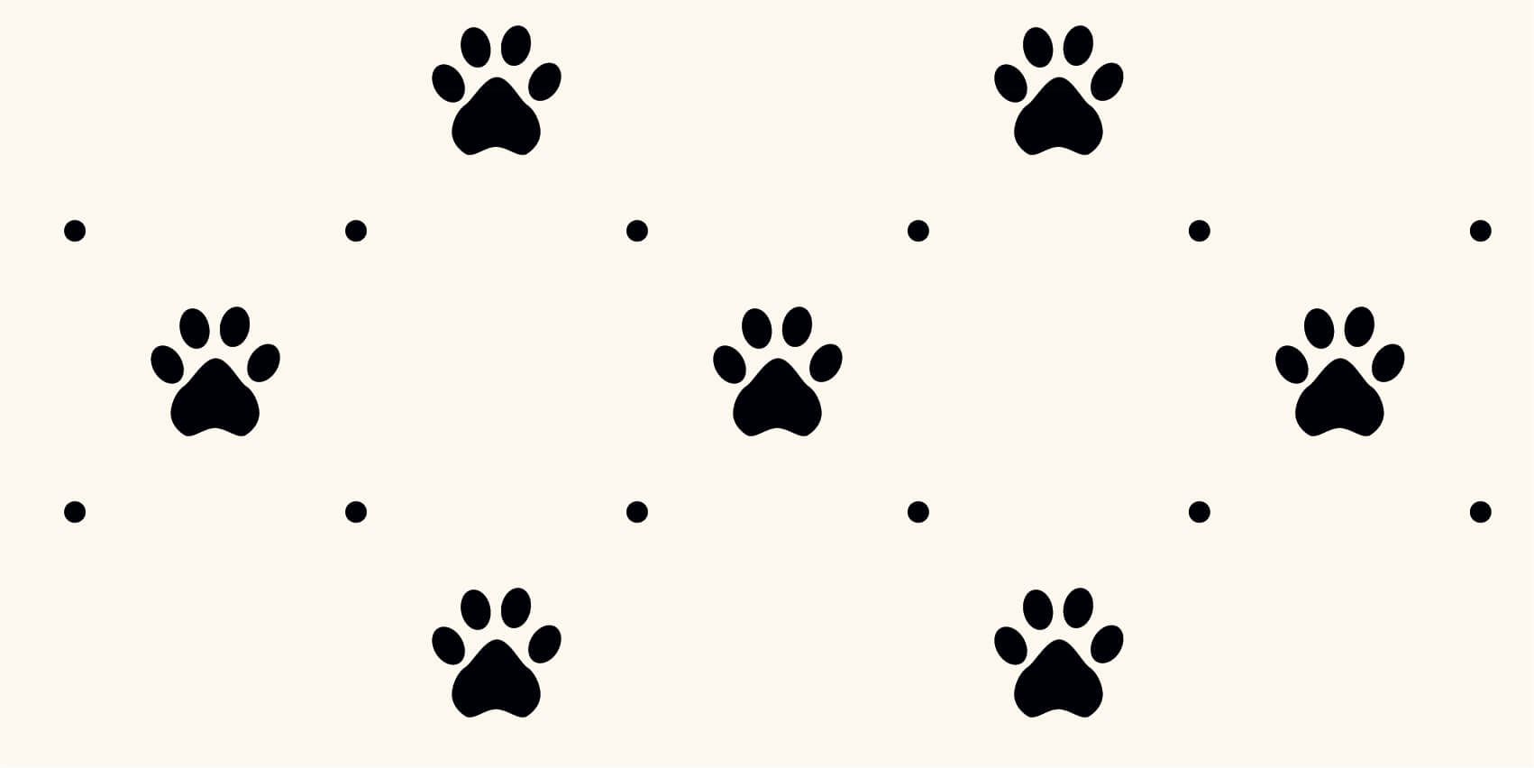 Dog feet