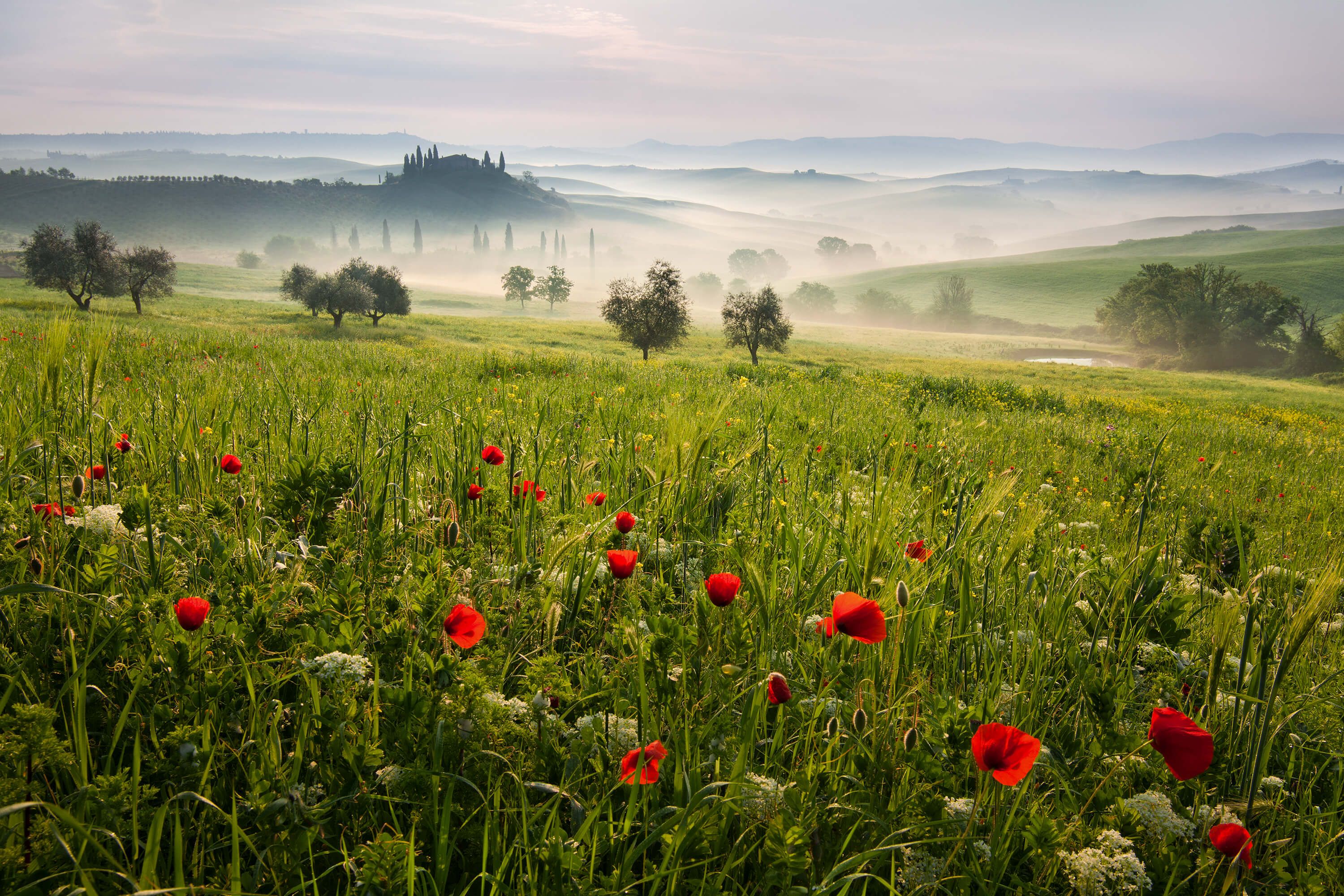 Landscape Tuscan spring Landscape Tuscan spring
