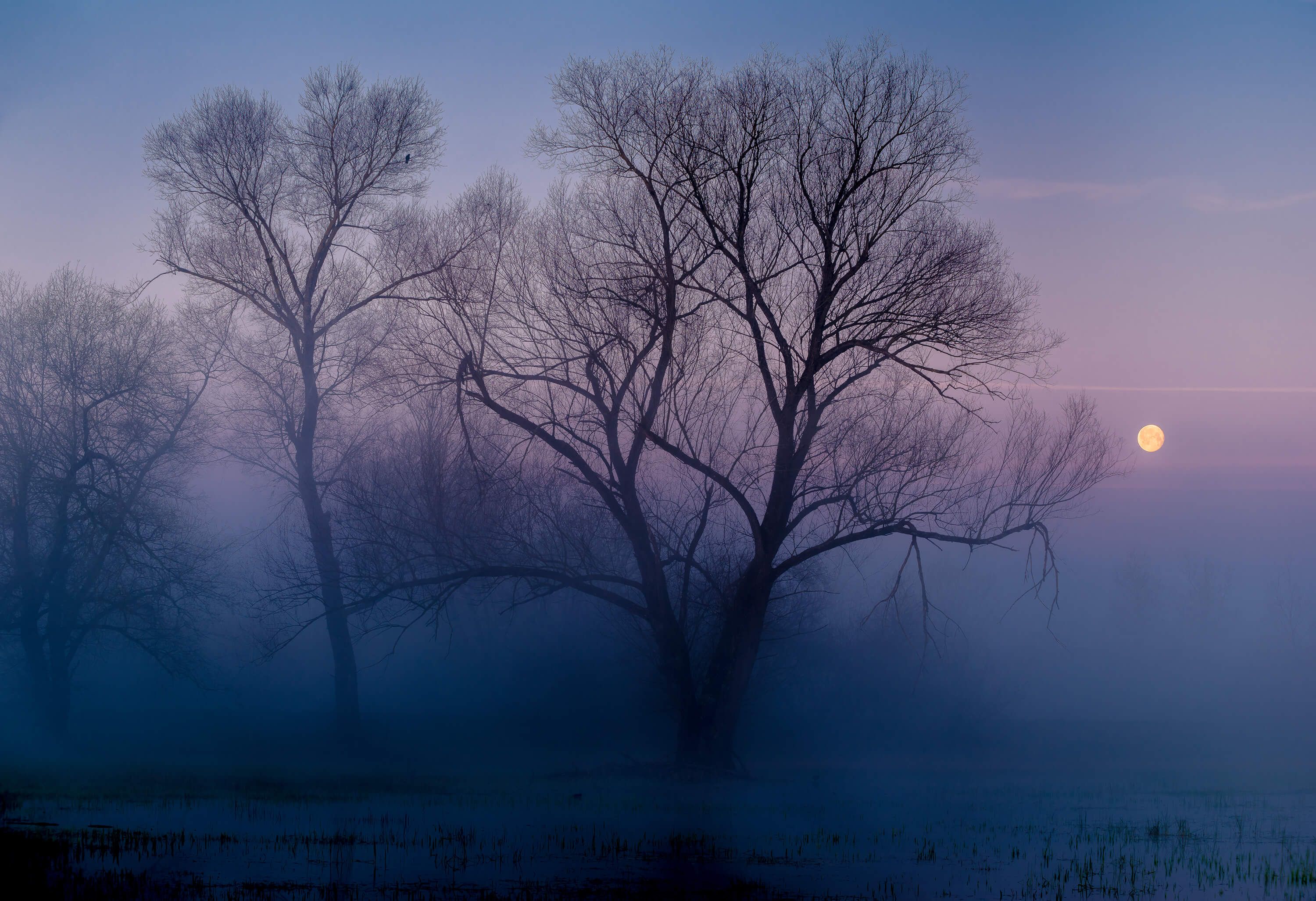 Night Another new day Night Another new day