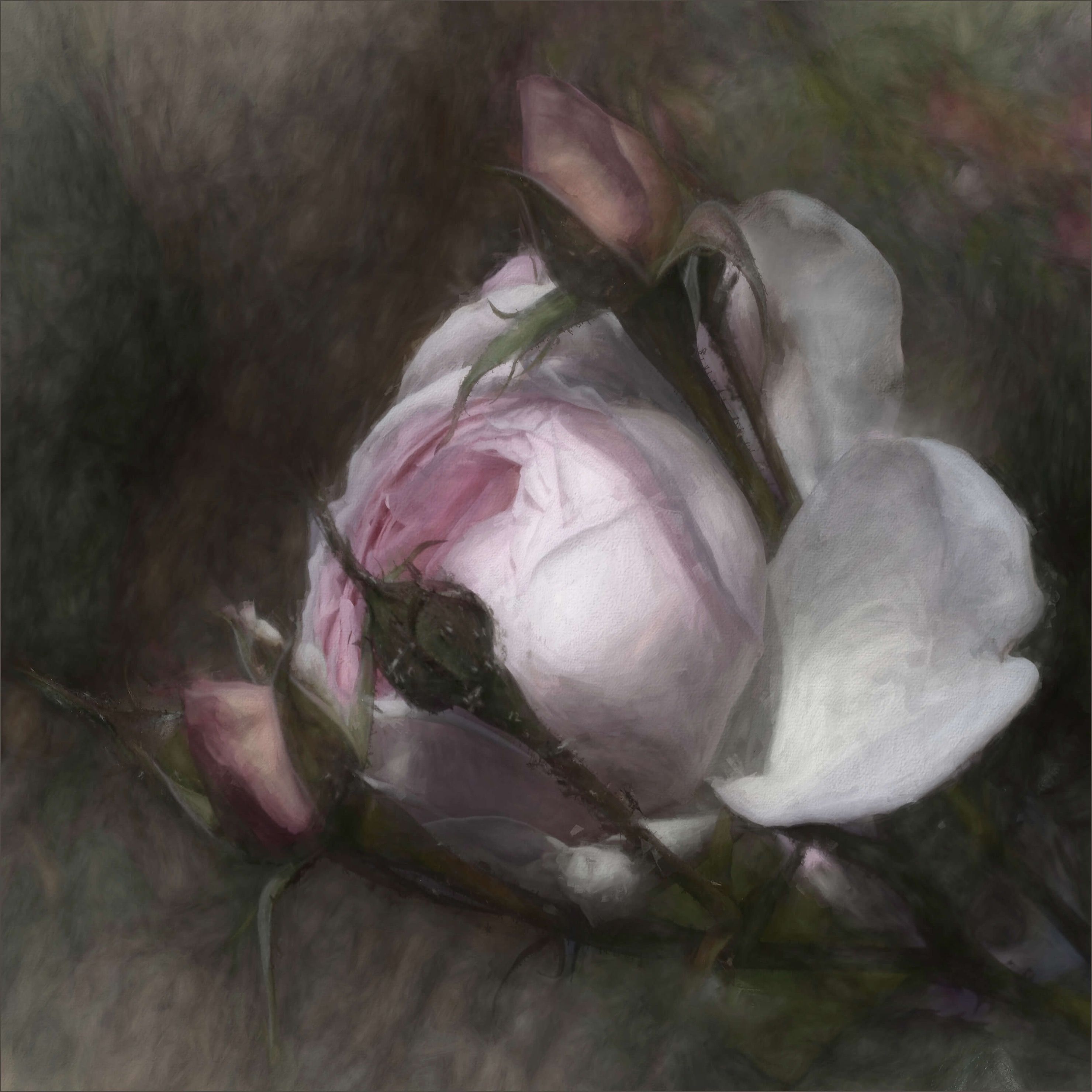Creative-edit budding beauty Creative-edit budding beauty