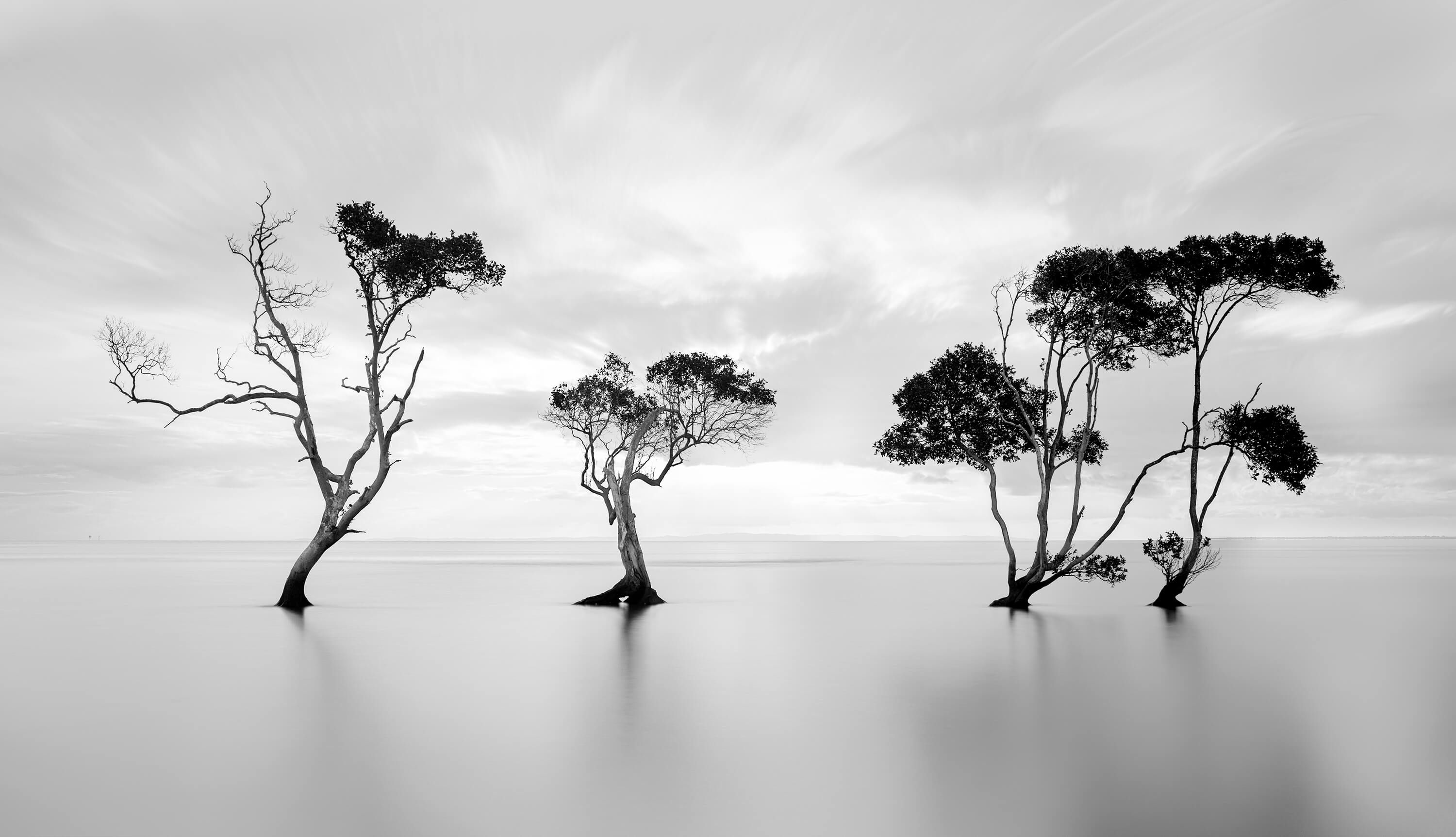 Landschap Drowning Not Waving Landschap Drowning Not Waving