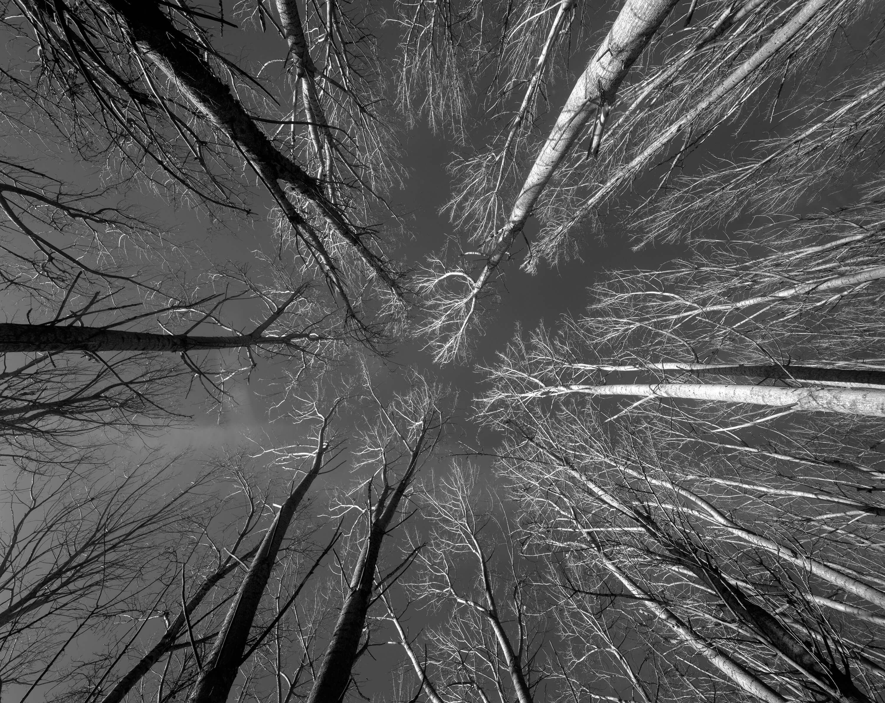 Landscape Ponto de Fuga Landscape Ponto de Fuga