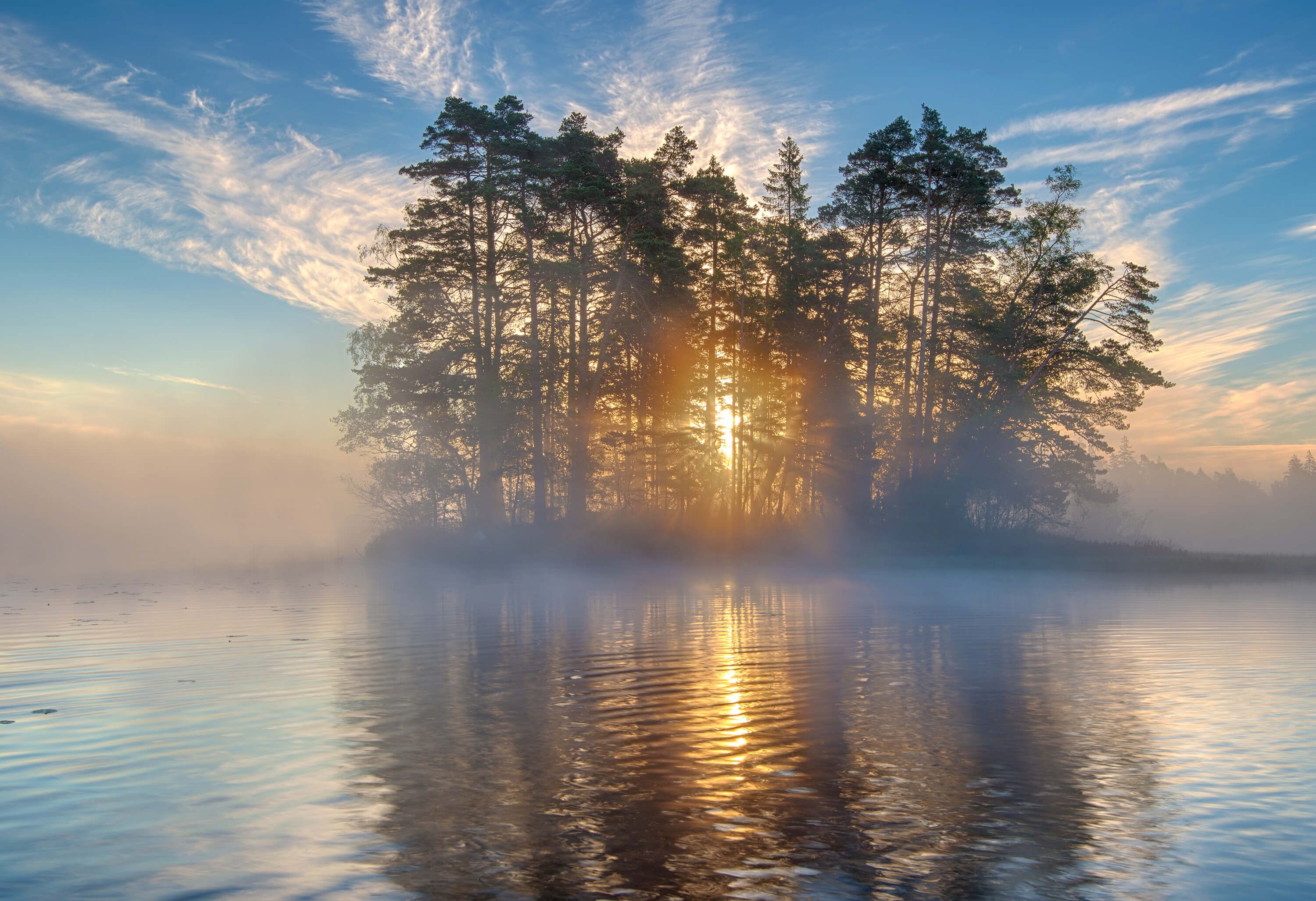 Landscape Morning light Landscape Morning light