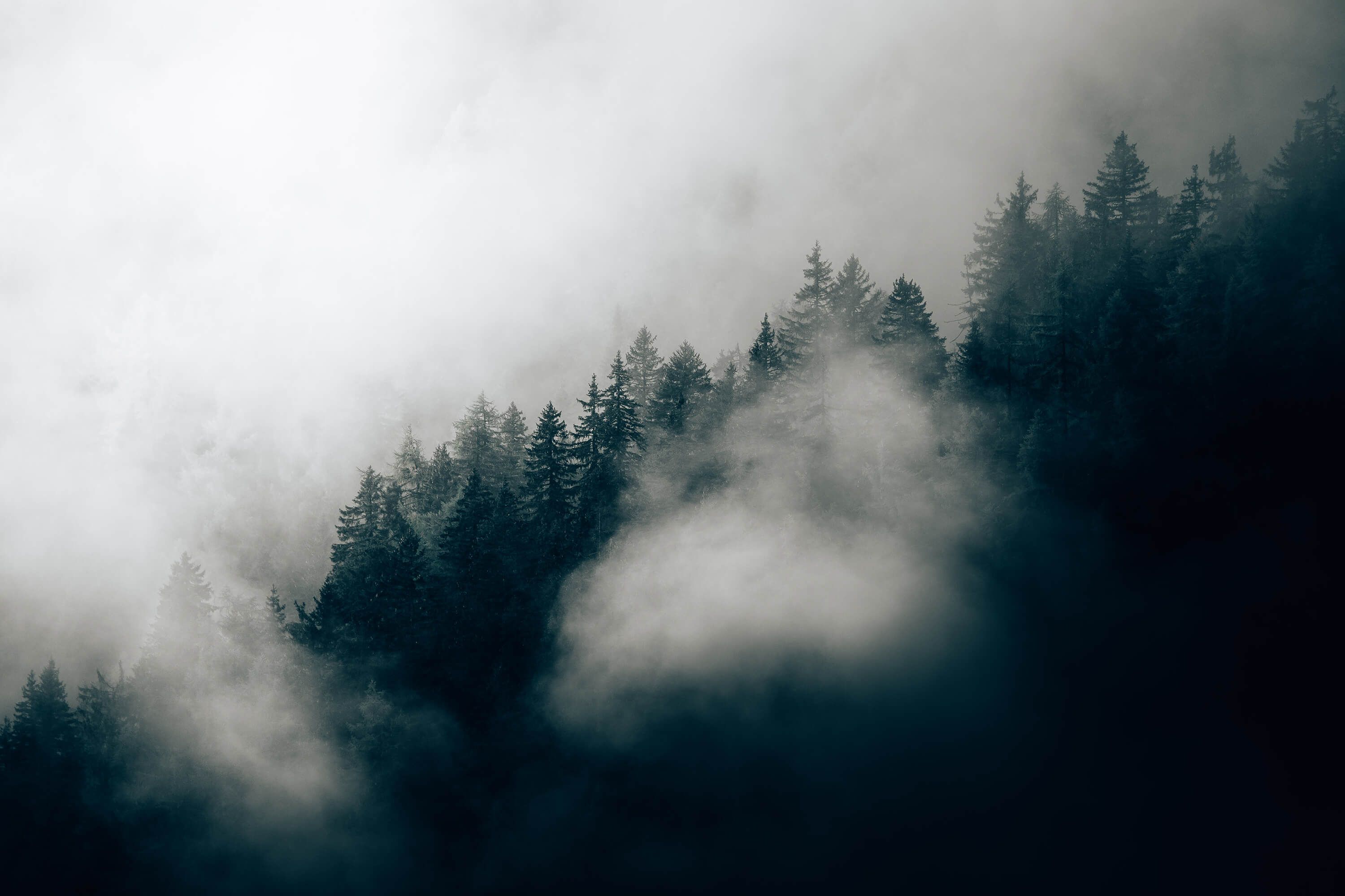 Wallpaper Foggy alpine morning Wallpaper Foggy alpine morning