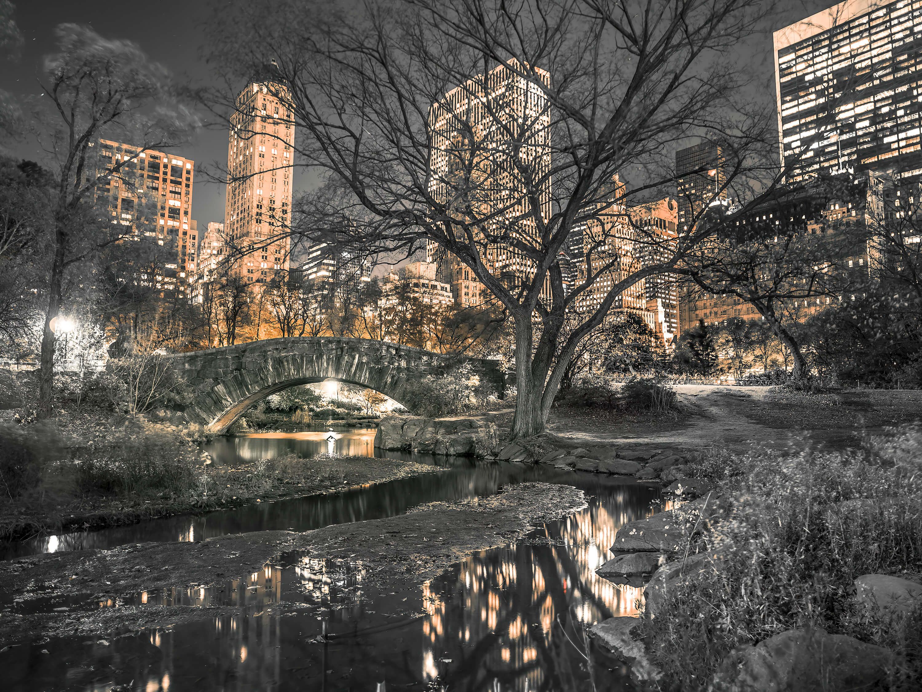 Central park in the evening Central park in the evening