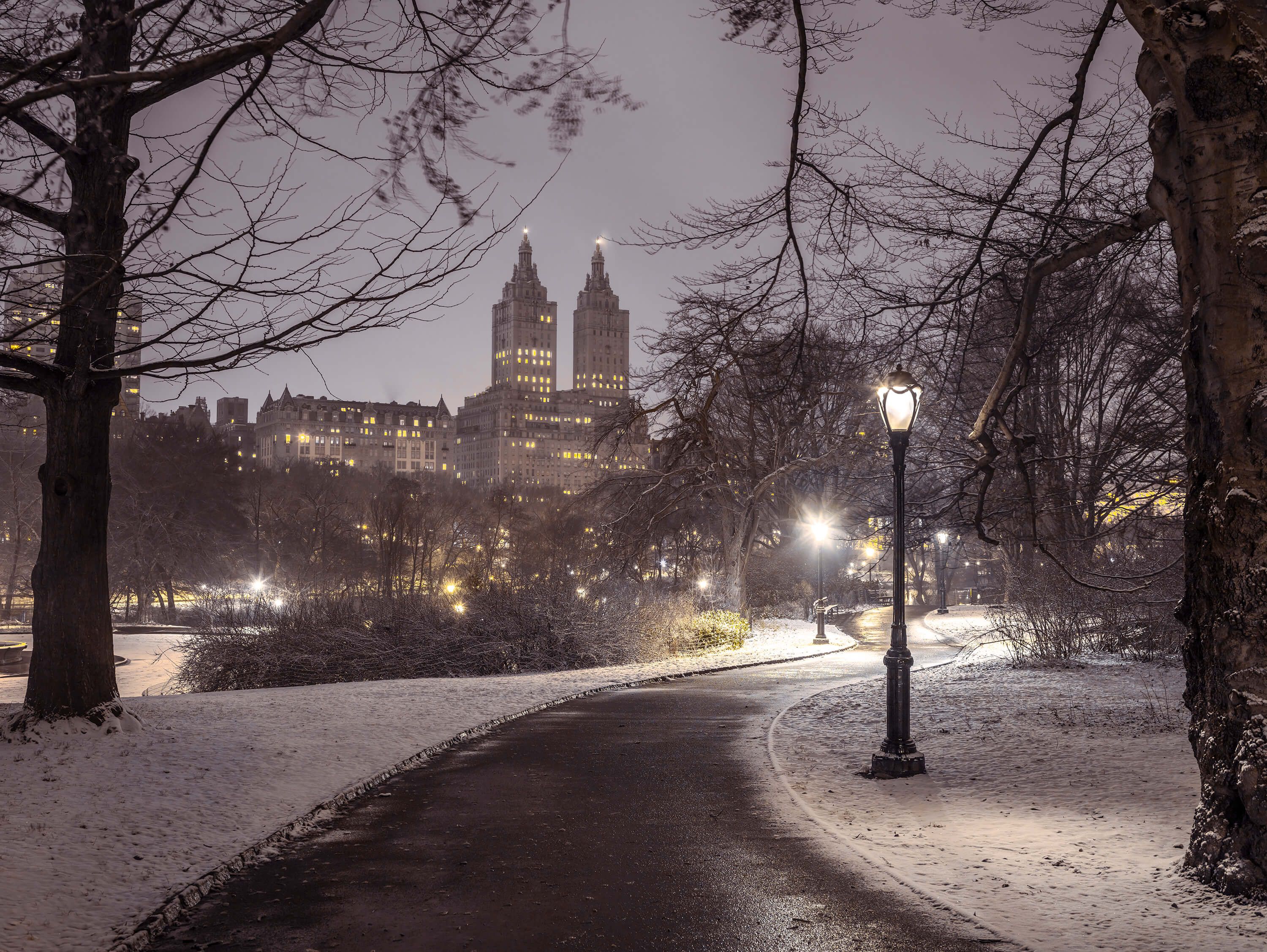  Snowy Central Park