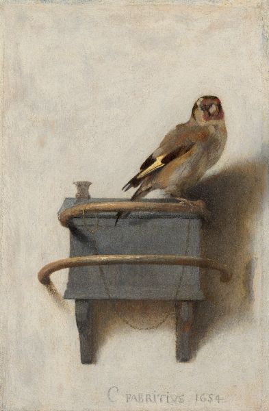 The goldfinch