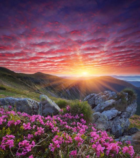Purple sunset