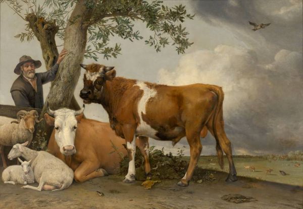 The bull