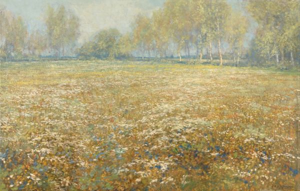 Flowering meadow