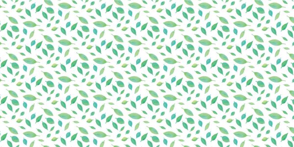 Drawn leaves