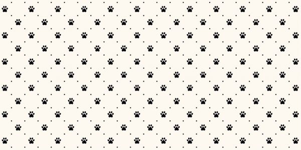Dog feet