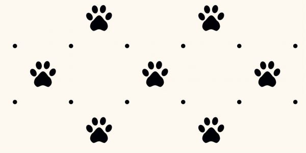 Dog feet