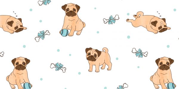 Pugs