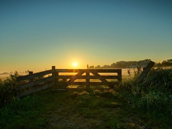 Fence at sunrise