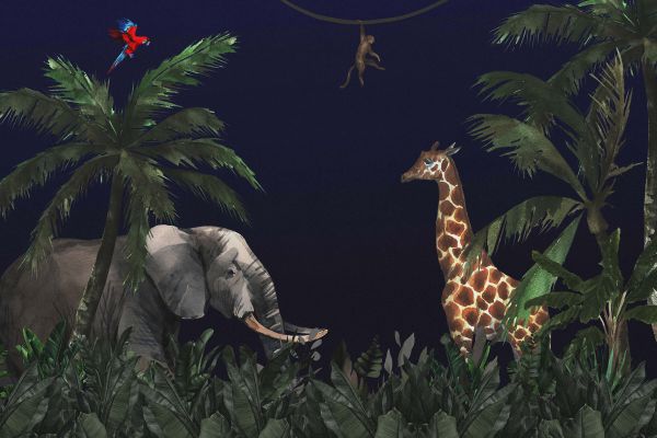 Jungle animals at night