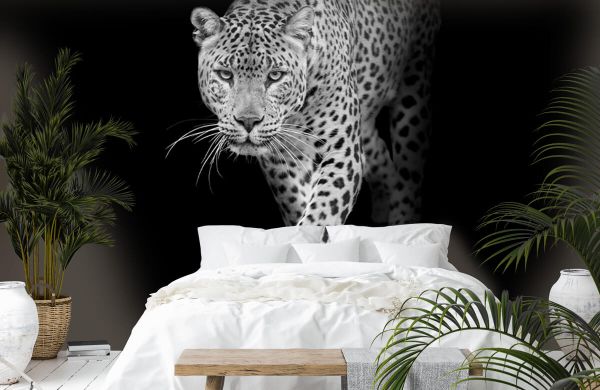 Drastisch Drastisch dief Leopard - Photo Wallpaper