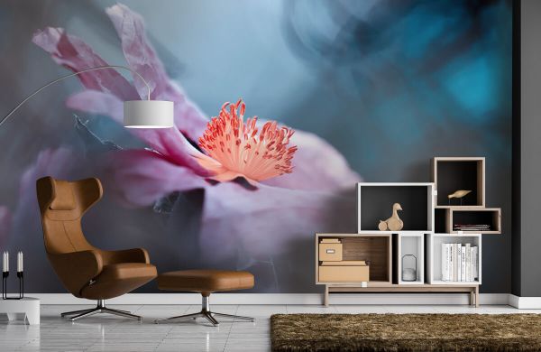 Even flowers have stories to tell - Photo Wallpaper Even flowers have stories to tell - Photo Wallpaper