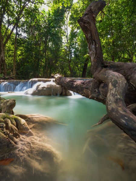 Waterfall in jungle