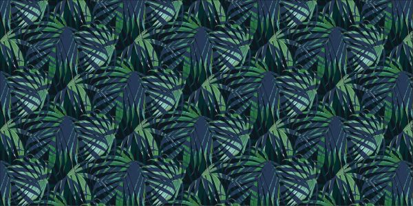 Green palm leaves