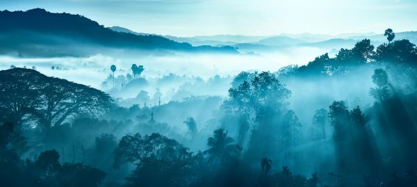 Beautiful landscape