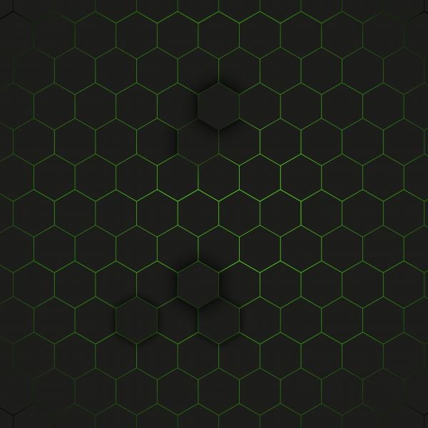 Green beehive - Photo Wallpaper