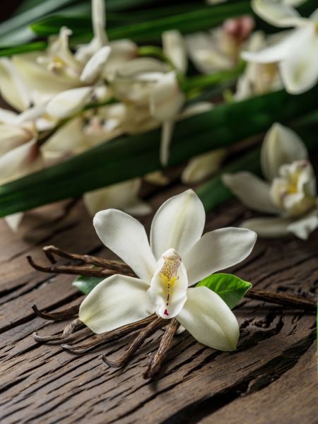 Flower and Vanilla Sticks