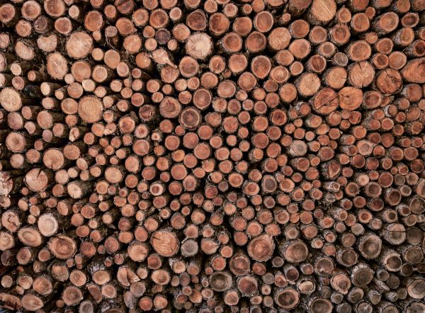 Large pile of logs