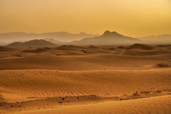 Desert desert
