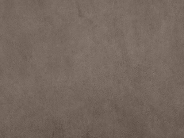 Taupe leather