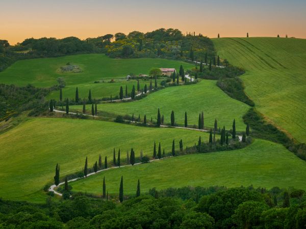 Winding road with cypresses