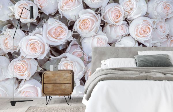 Light colored roses - Wallpaper