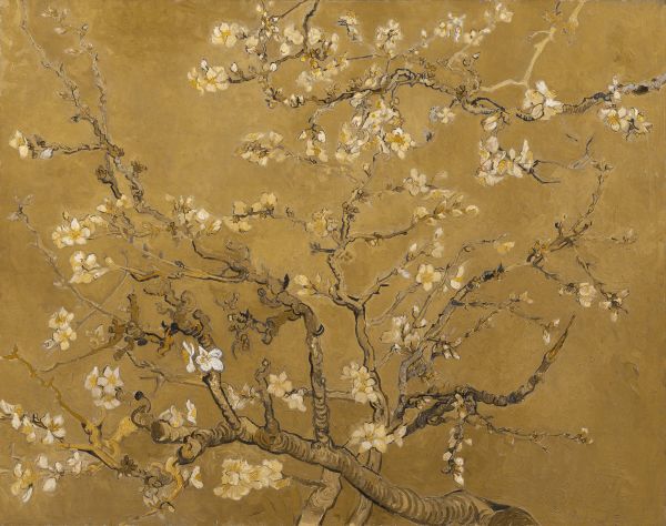 Yellow Almond Blossom