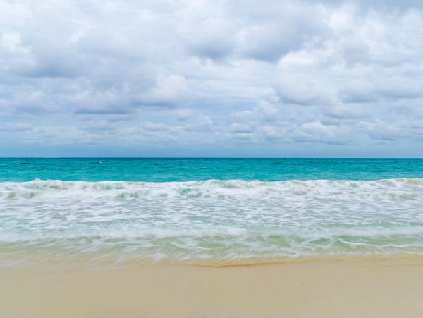 Wavy sea