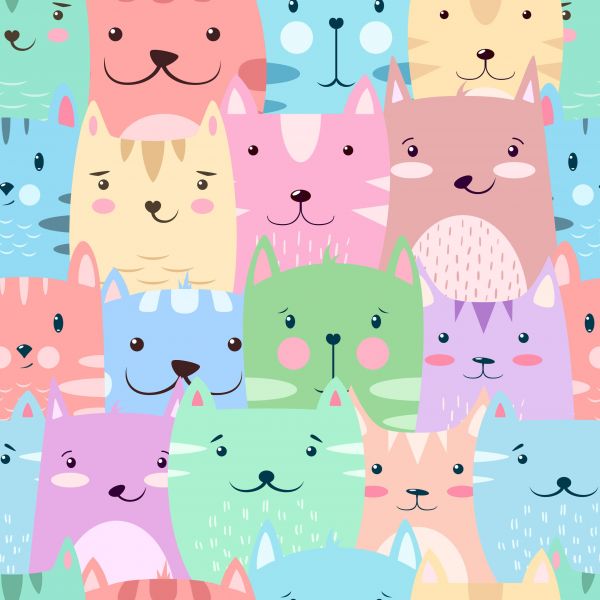 Colorful cats