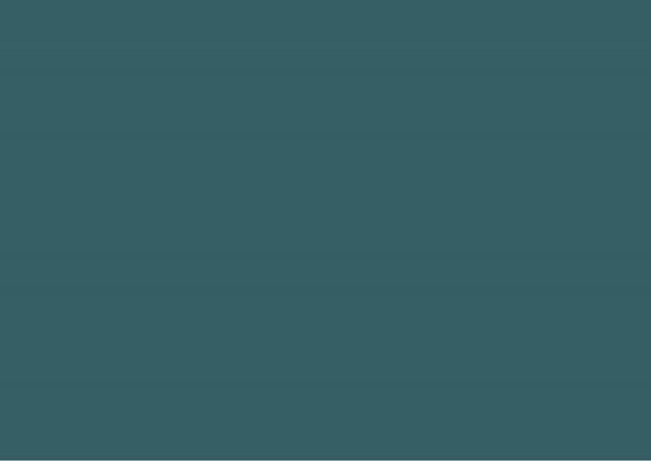 Police blue