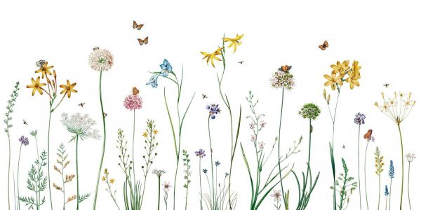Butterfly Garden