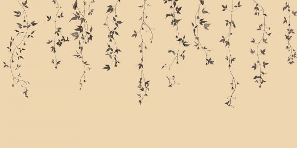 Clematis twigs on beige
