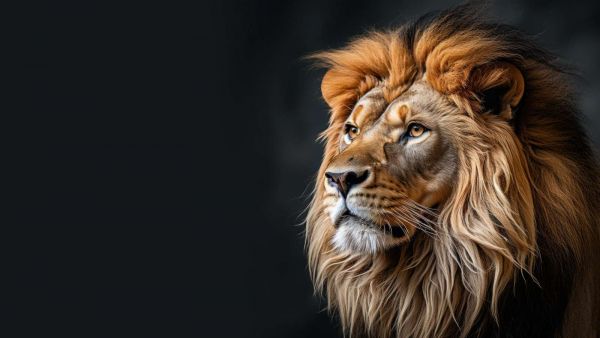 Silent Strength