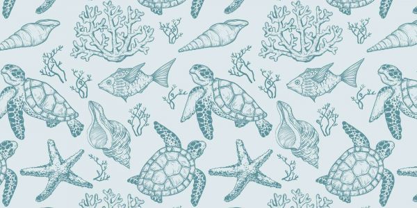 Turtle Reef Serenity